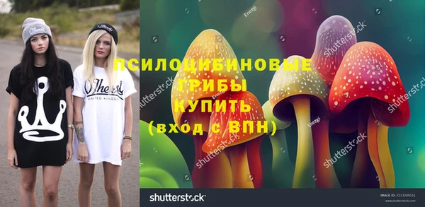 дмт Осинники